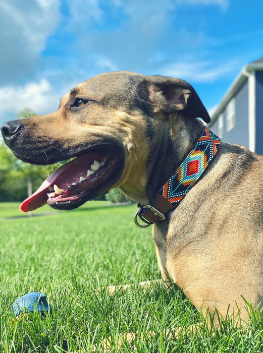 Biarritz Collar