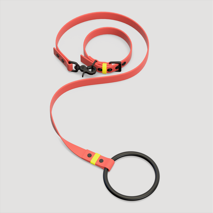 Timeless Coral Collar & Leash Set